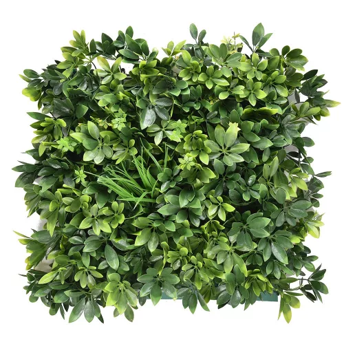 Aralia plastični zeleni zid 50x50 cm