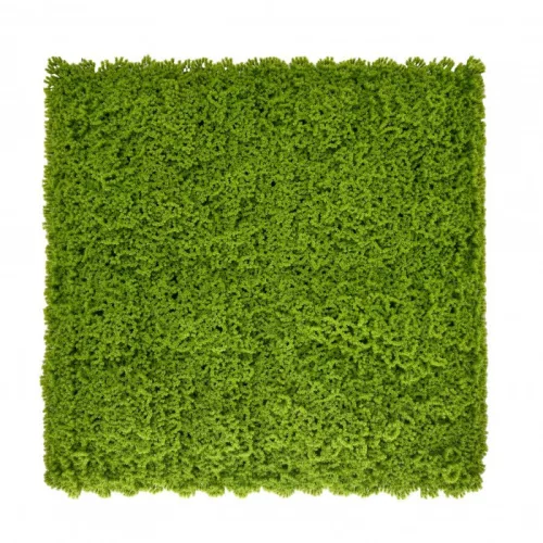 Plastični zid od mahagonija, zelen, 50x50 cm