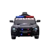 Električni policijski Dodge, crni