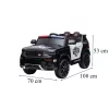 Električni policijski automobil, crni