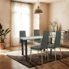 Mezza 4+1 blagovaonski set sivi-sivi