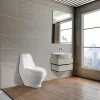 Koraljni monoblok WC školjka s donjim odvodom i sjedalom s mekim zatvaranjem