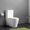 Paulo kombinirani WC bez oboda s donjim/bočnim izlazom i sjedalom s mekim zatvaranjem