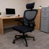 Flexo ergonomski uredski okretni stolac s lumbalnom potporom